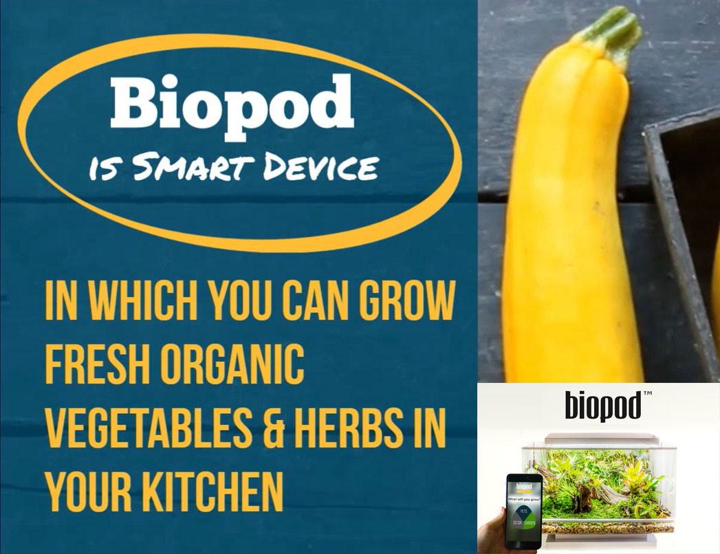 Biopod in India – Grow fresh Organic Vegetables & Herbs in your Kitchen